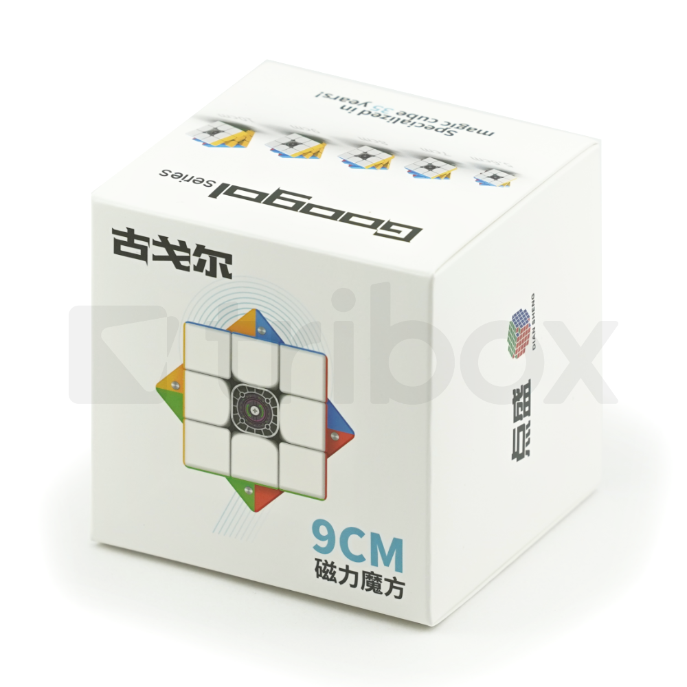 DianSheng Googol Cube M 9.1cm