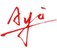 Ayi logo