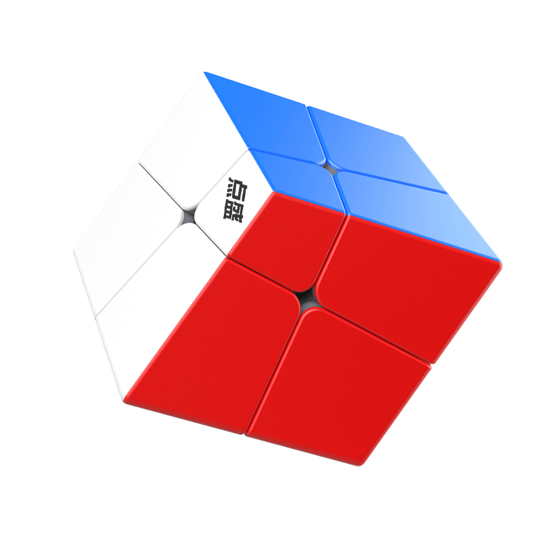DianSheng Squished 2x2x2 M
