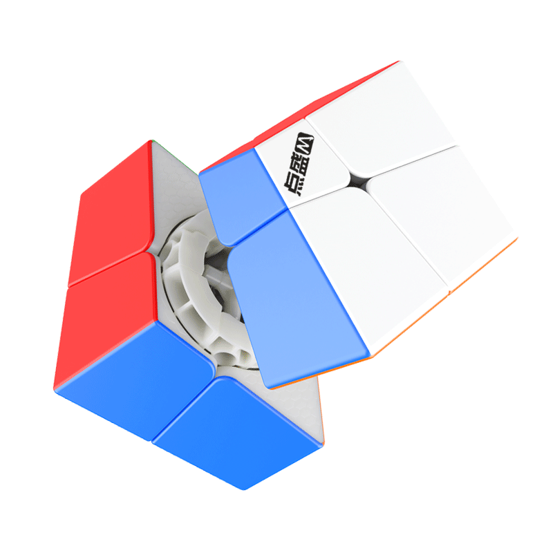 DianSheng Squished 2x2x2 M