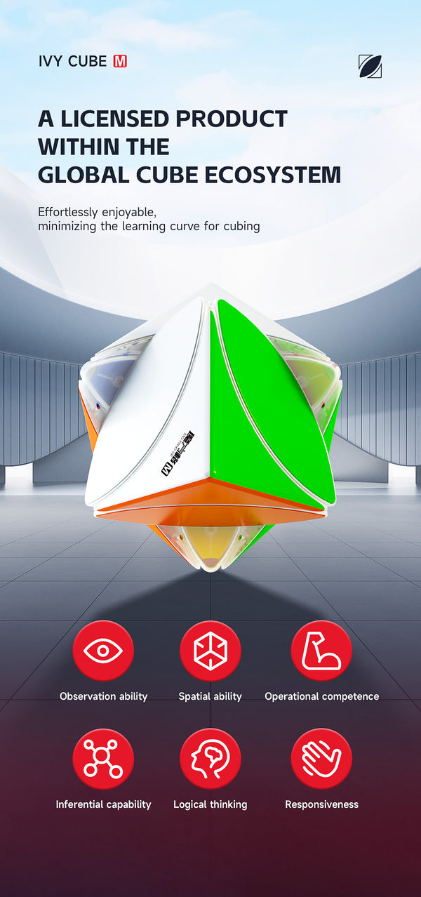 QiYi Ivy Cube M メーカー製品情報 3