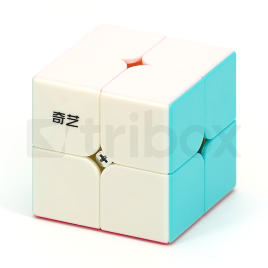 QiYi QiDi S2 Neon Edition