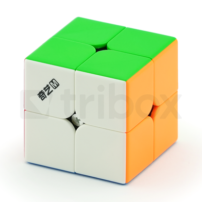 QiYi Warrior 2x2x2 M