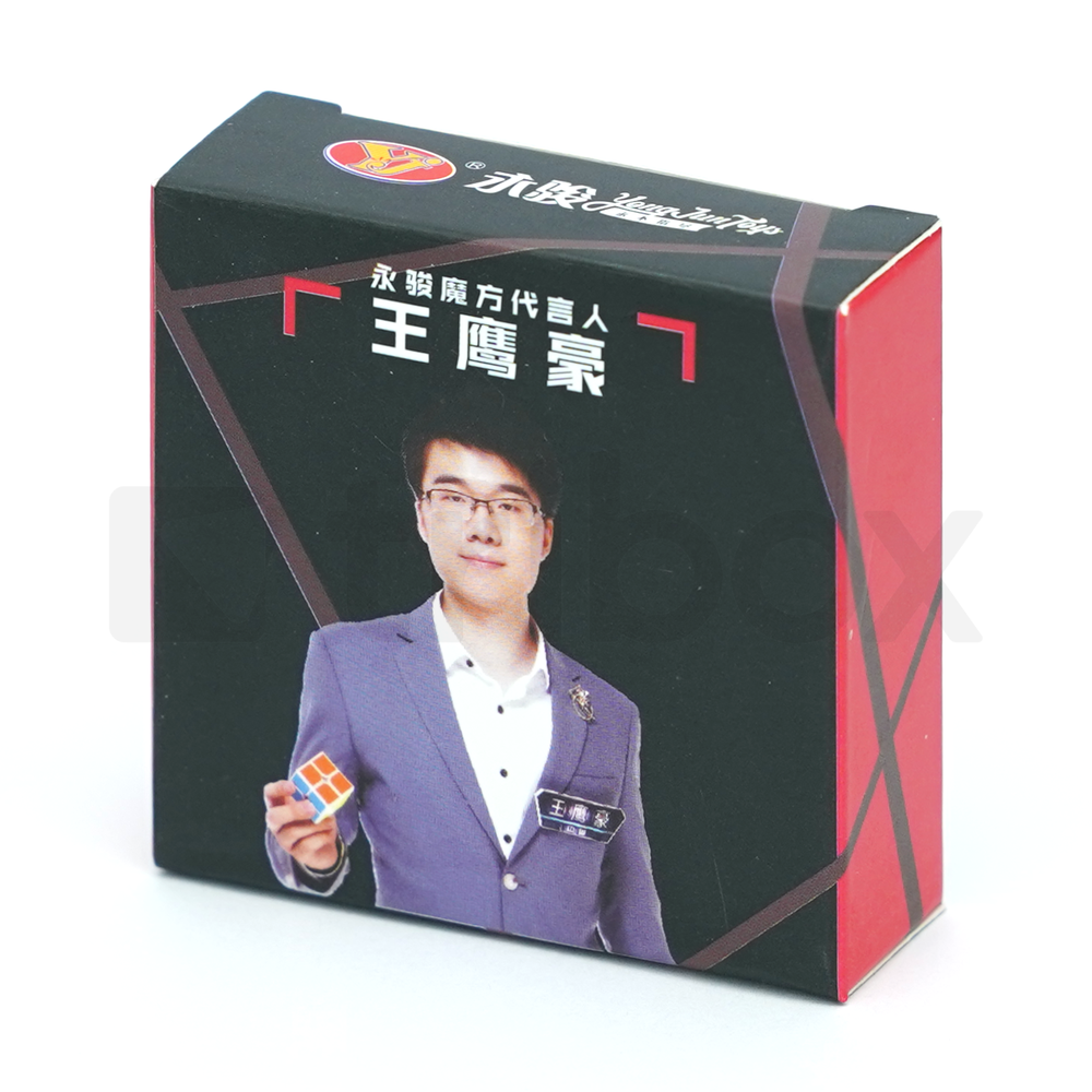 YJ Megaminx YuHu V2 M パーツ ブラックパネル