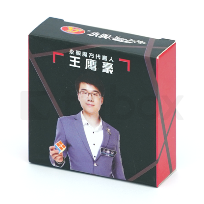 YJ Megaminx YuHu V2 M パーツ ブラックパネル