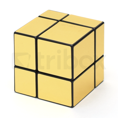 Cube Style 2x2x2 Mirror Cube Stickered