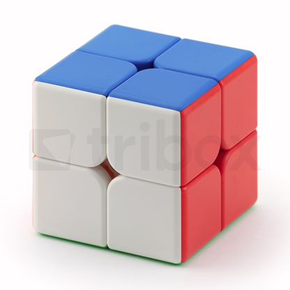 Cubing Classroom 9cm 2x2x2