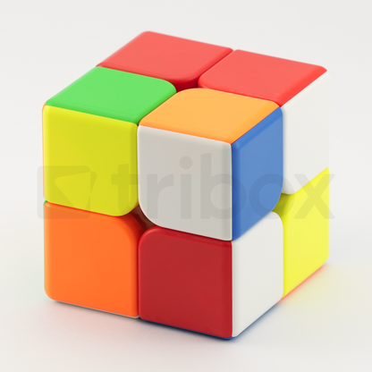 Cubing Classroom 9cm 2x2x2