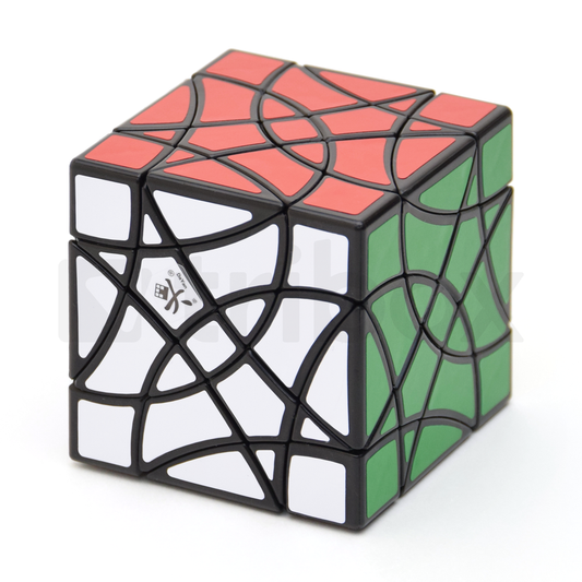 DaYan 16-Axis Hexadecagon Stickered