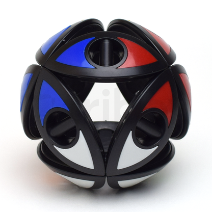 DaYan Laurustinus Puzzle