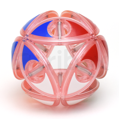 DaYan Laurustinus Puzzle