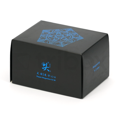 DaYan Megaminx V2 M