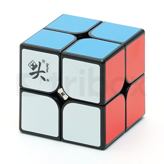 DaYan TengYun 2x2x2 M Stickered