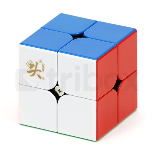 DaYan TengYun 2x2x2 Plus M