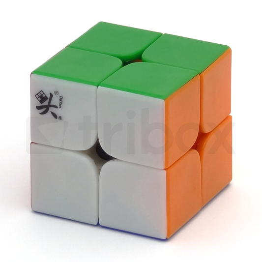 DaYan ZhanChi 2x2x2 46mm