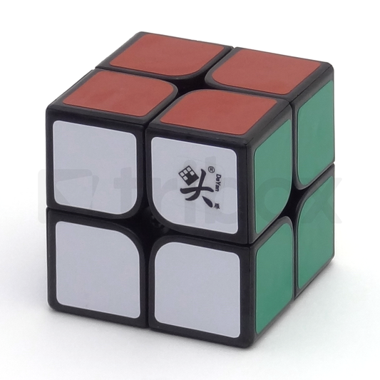 DaYan ZhanChi 2x2x2 50mm Stickered