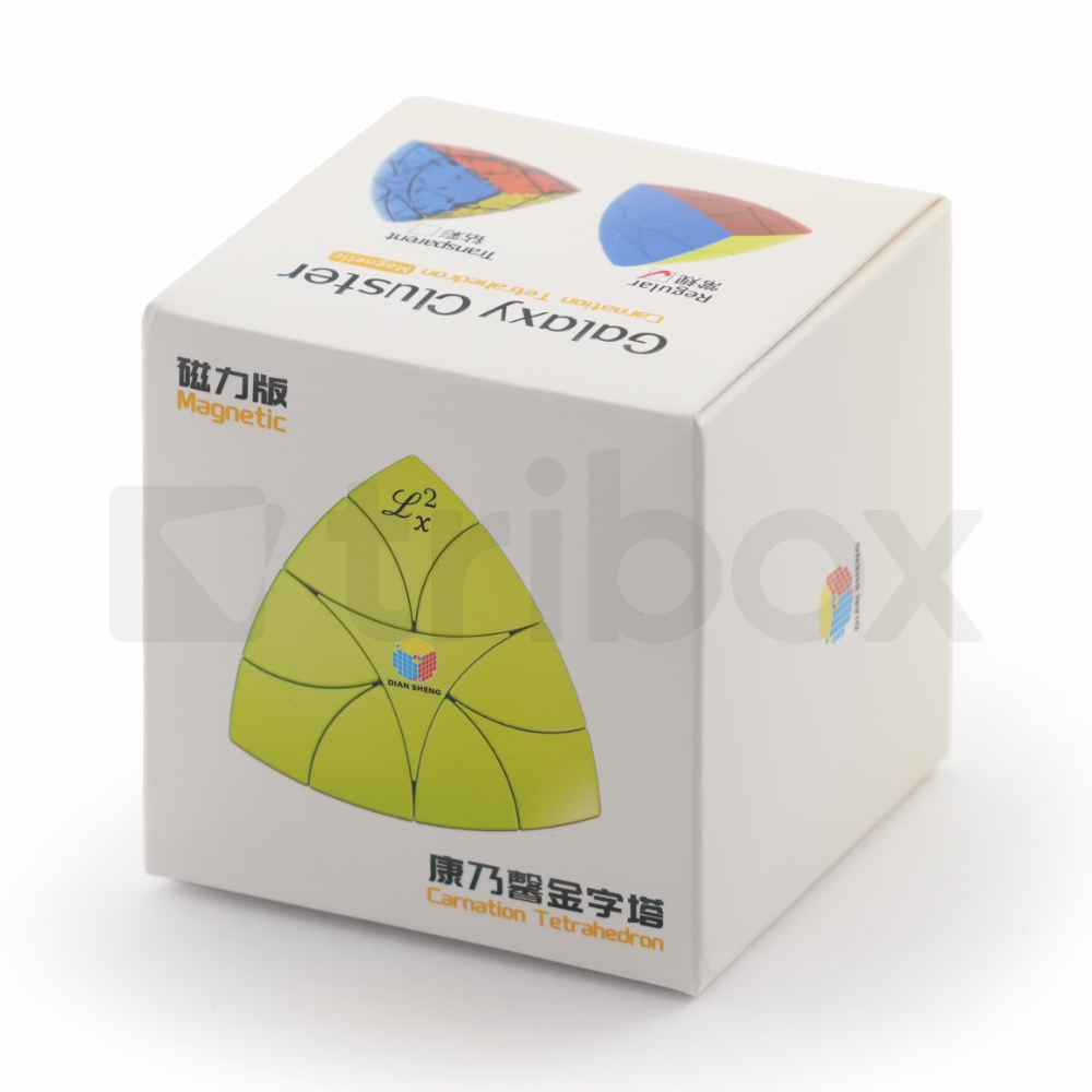 DianSheng Galaxy Carnation Tetrahedron M
