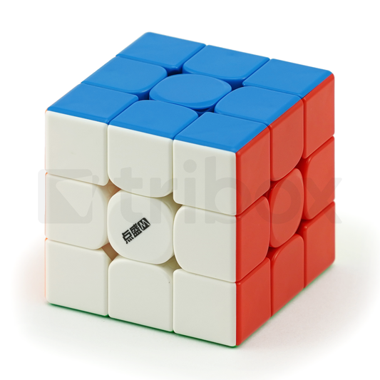 DianSheng Googol Cube M 7.2cm
