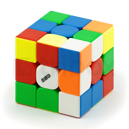 DianSheng Googol Cube M 7.2cm