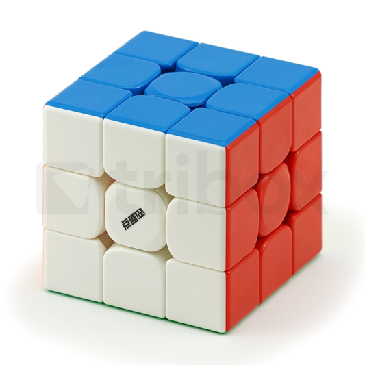 DianSheng Googol Cube M 8.1cm