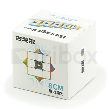 DianSheng Googol Cube M 8.1cm