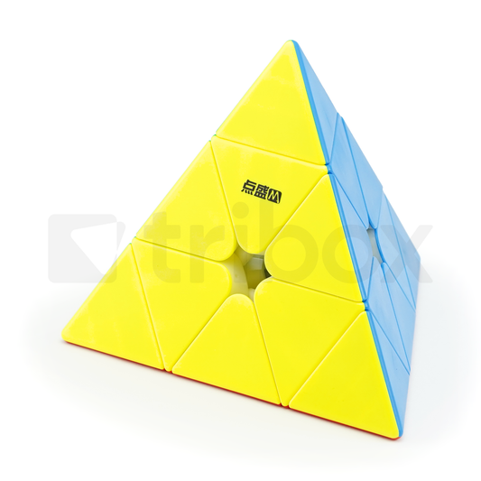 DianSheng Googol Pyraminx M 19.5cm (Primary)