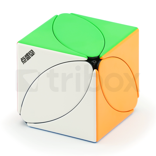 DianSheng Ivy Cube Magnetic 90mm (Black)