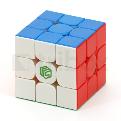 DianSheng MsCUBE Ms3-V1 M