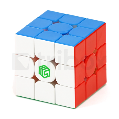 DianSheng MsCUBE Ms3X (Primary)