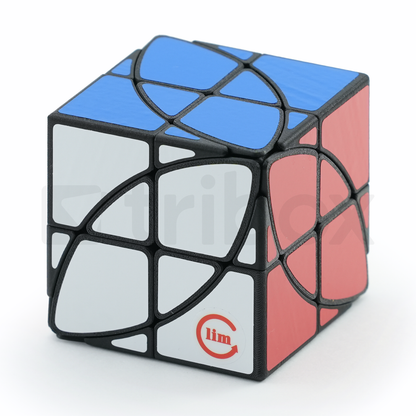 FangShi LimCube 2x2x2+Maple Leaves Cube Stickered