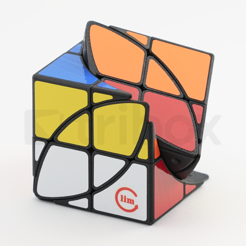FangShi LimCube 2x2x2+Maple Leaves Cube Stickered