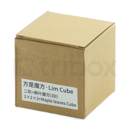 FangShi LimCube 2x2x2+Maple Leaves Cube Stickered