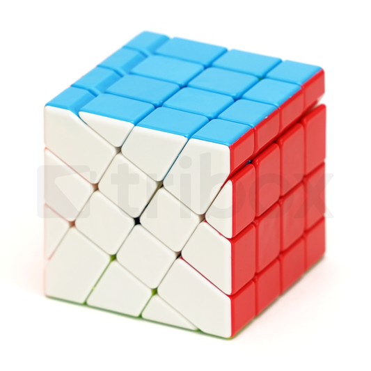FANXIN 4x4x4 Windmill Cube