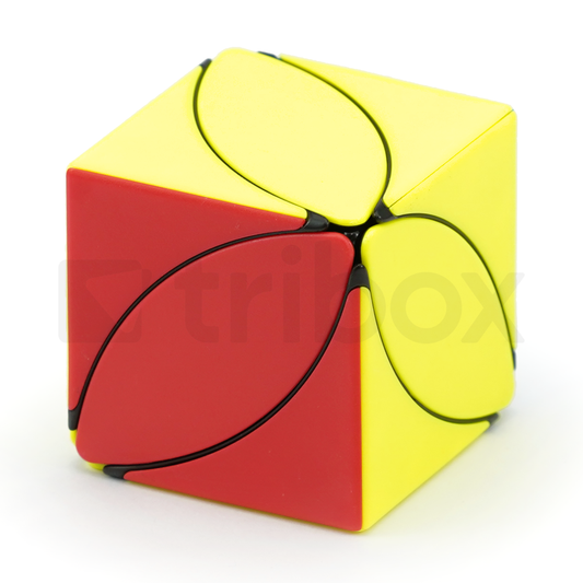 FANXIN Ivy Cube 3-Color