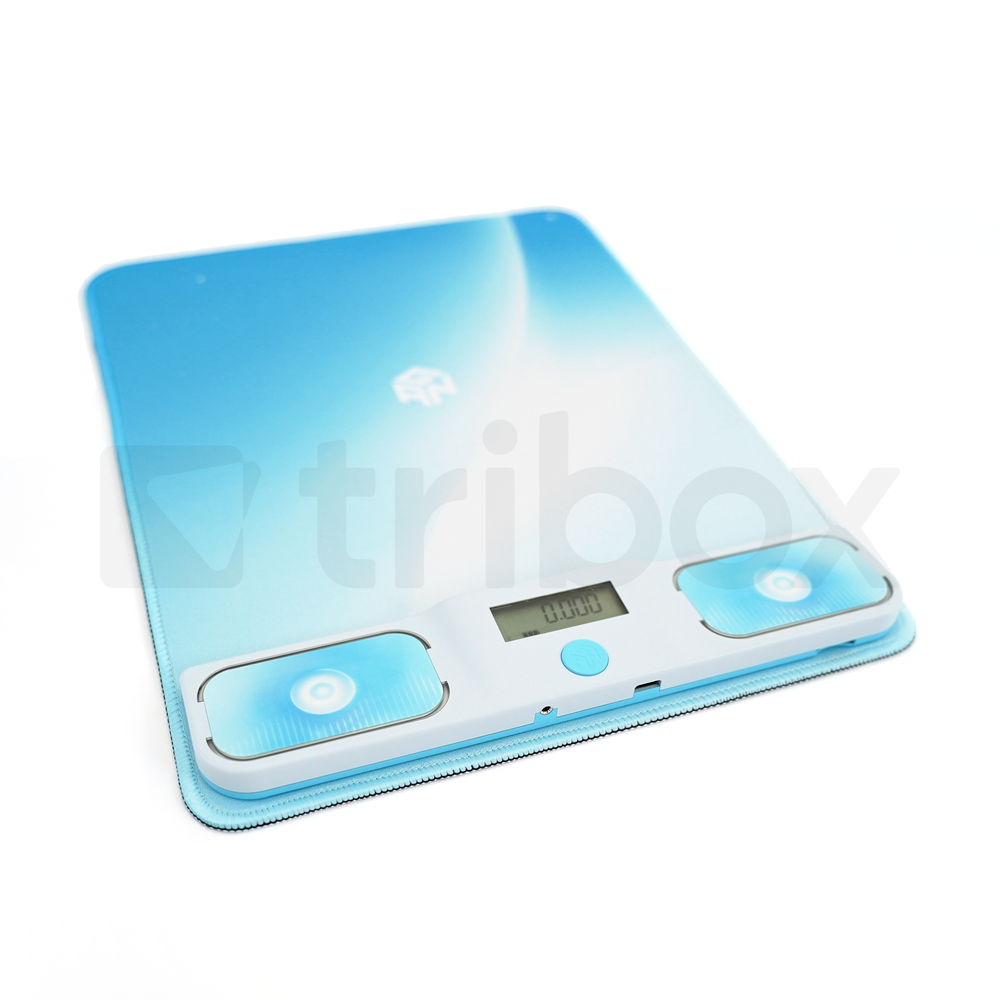 GAN Halo Timer