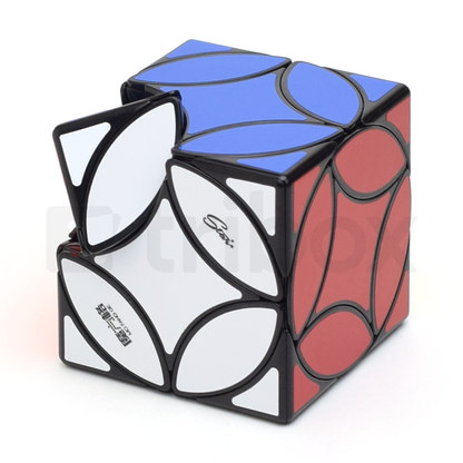 QiYi Ancient Coin Cube Stickered