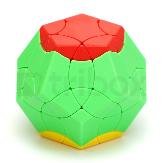 ShengShou Birds Dodecahedron