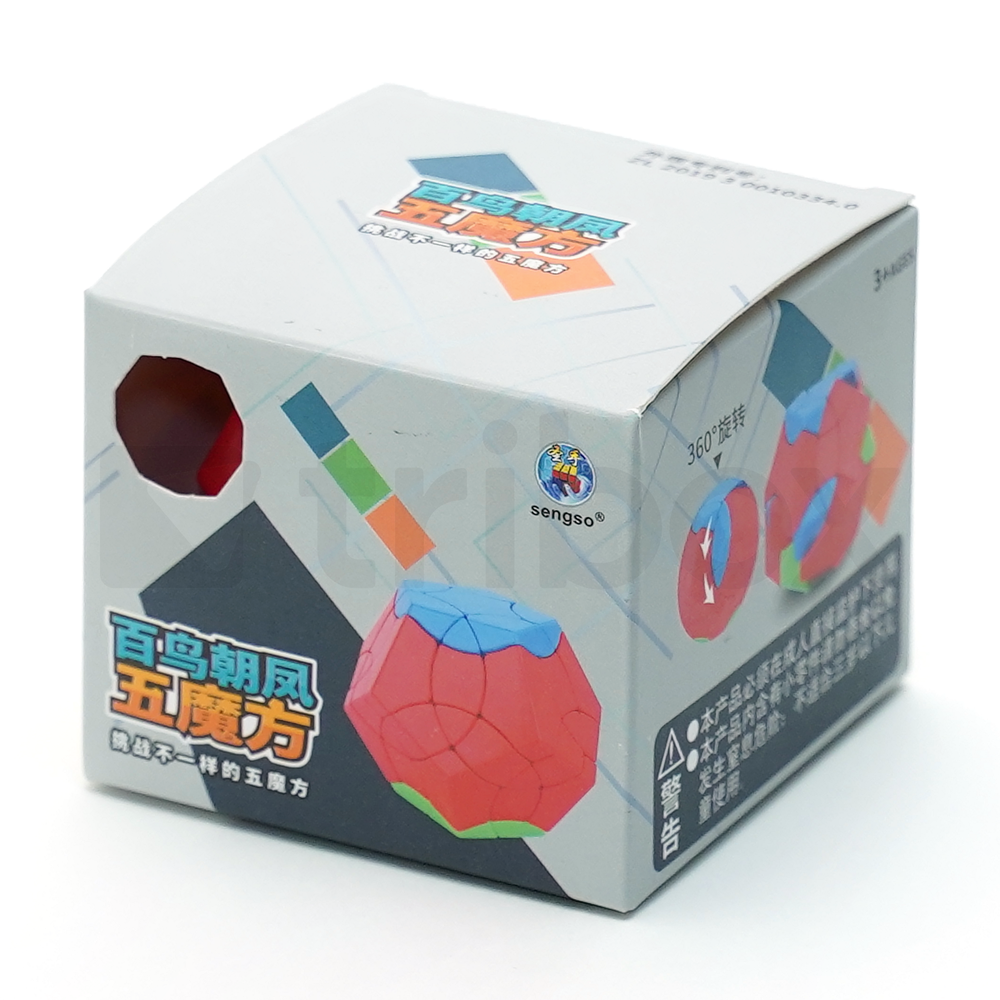 ShengShou Birds Dodecahedron