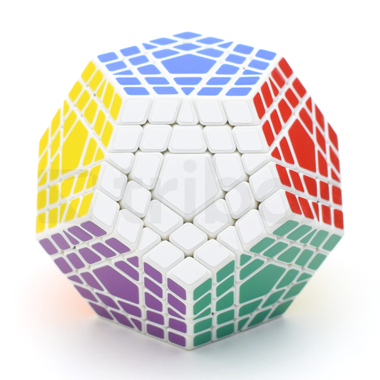 ShengShou Gigaminx Stickered (White)