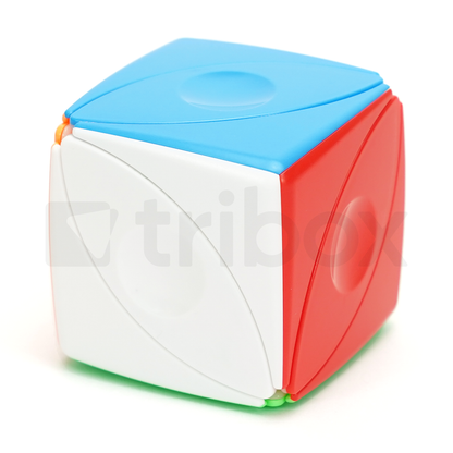 ShengShou Ivy Cube