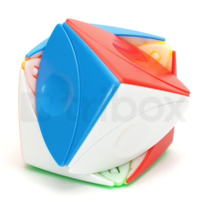ShengShou Ivy Cube