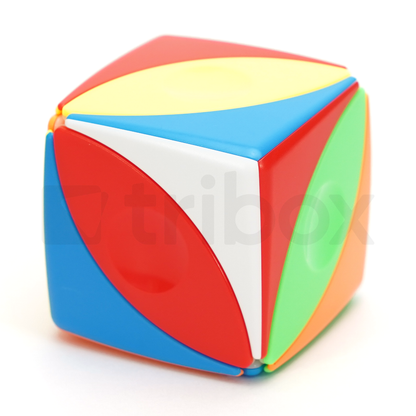 ShengShou Ivy Cube