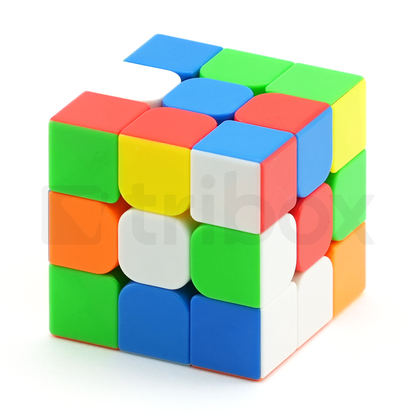 ShengShou Legend 3x3x3 S (Bright)