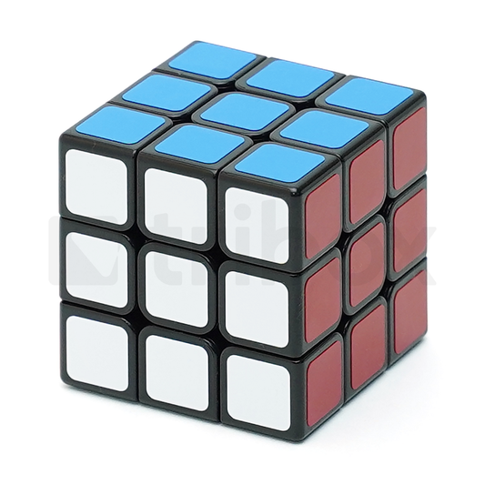 ShengShou Legend 3x3x3 Stickered (Black)