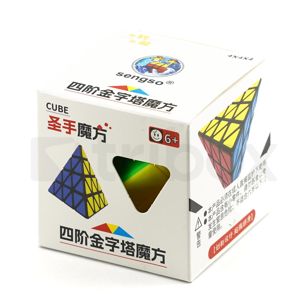 ShengShou Master Pyraminx