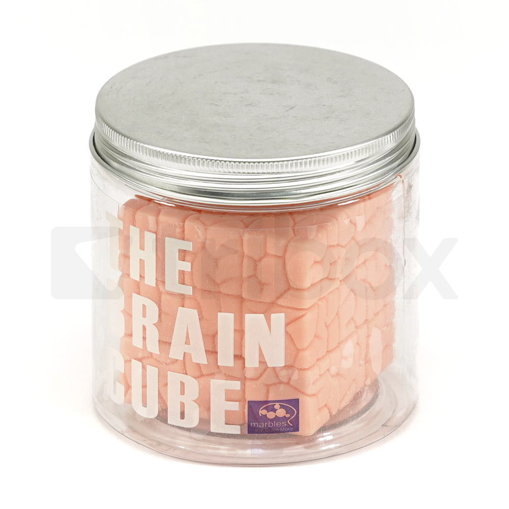 Wong MOD THE BRAIN CUBE