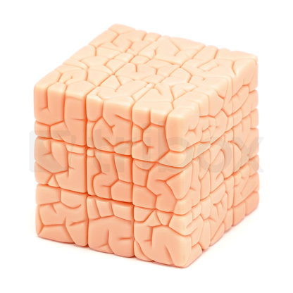 Wong MOD THE BRAIN CUBE