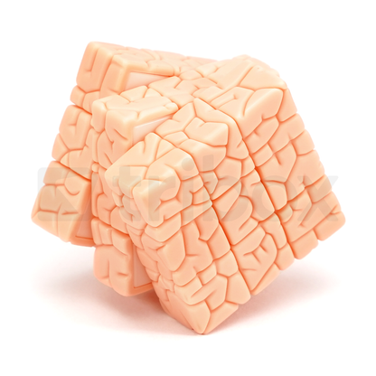 Wong MOD THE BRAIN CUBE